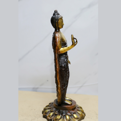 Brown Colour Buddha Standing idol
