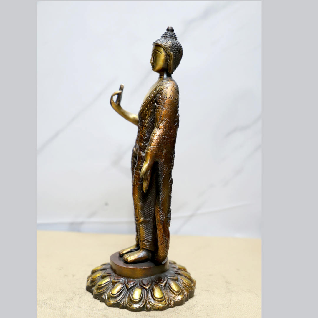 Brown Colour Buddha Standing idol